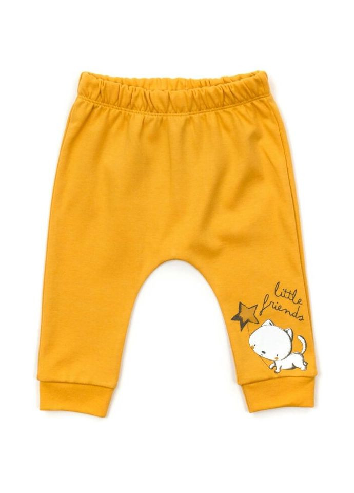 Комбинированный демисезонный набор детской одежды с котиками (16326-62g-yellow) Miniworld