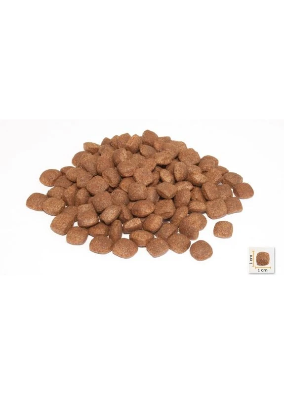 Сухой корм для щенков Puppy Lamb & Rice с ягненком и рисом 15 кг BC405727 BonaCibo (388480106)