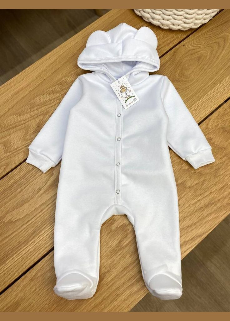 Комбінезон прогулянковий Баранчик БО (314903186)