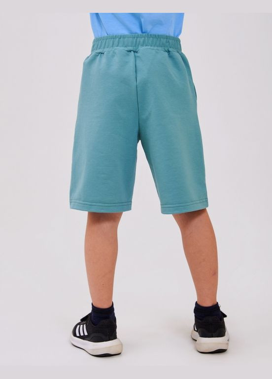 Шорты Серо-зеленый Smil (317291065)