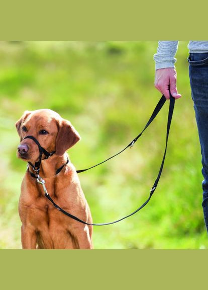 Шлея тренировочная для собак L (*) Trixie (322590025)