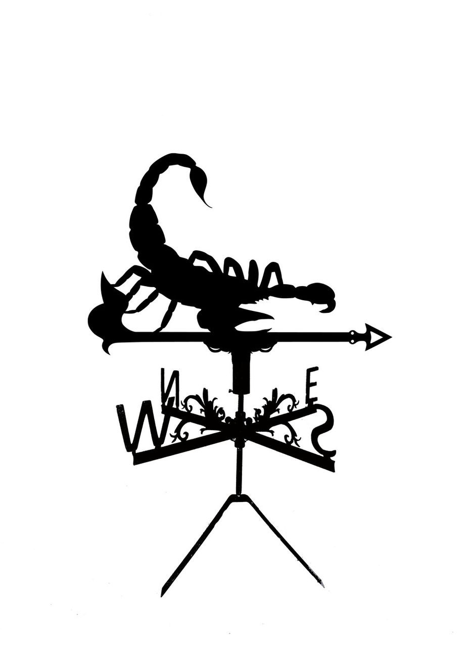 Флюгер Скорпион из металла 2 мм, флюгер на крышу No Brand (368896718)