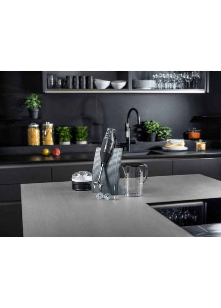 Блендер SwissLine М200 Anthracite (1000.023) Bamix (323093130)