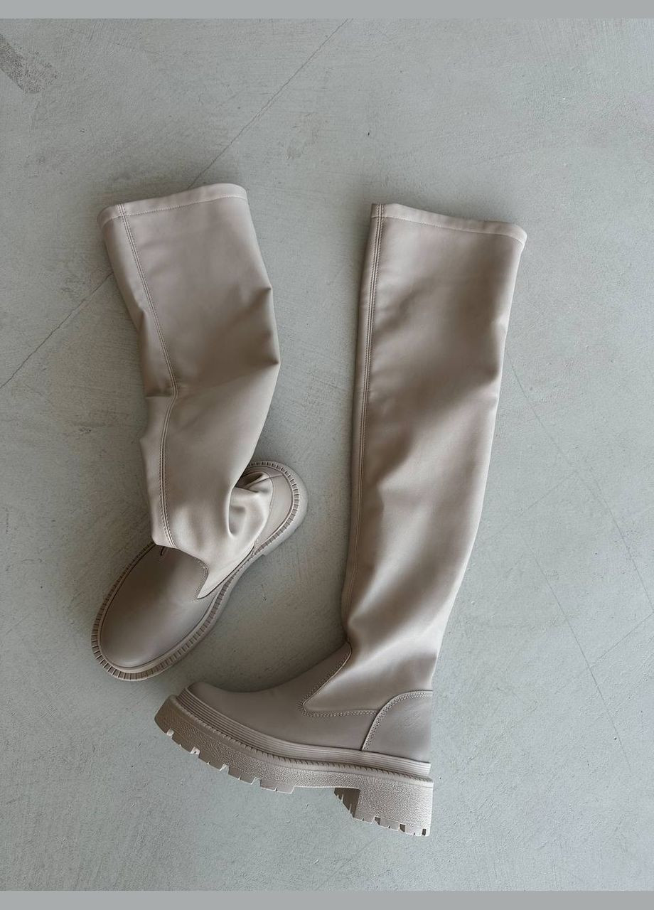 Стильні жіночі ботфорти No Brand (302068498)