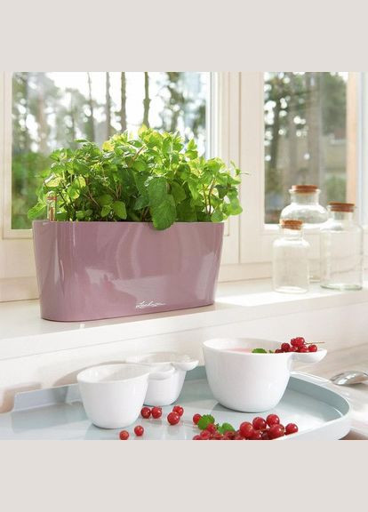 Умный вазон Delta 10 2 л белый 15460 Lechuza (316617989)