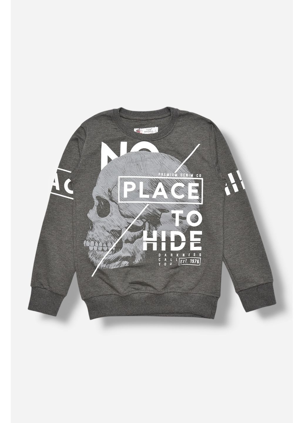 Кофта підліткова для хлопчика сірого кольору з принтом Let's Shop (365310279)