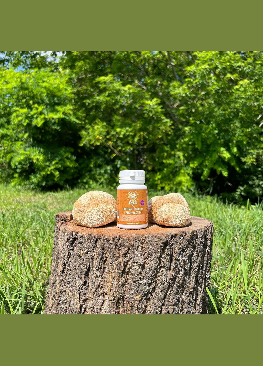 Экстракт Ежовика гребенчатого, молотый 50 г Лісовик (337336453)