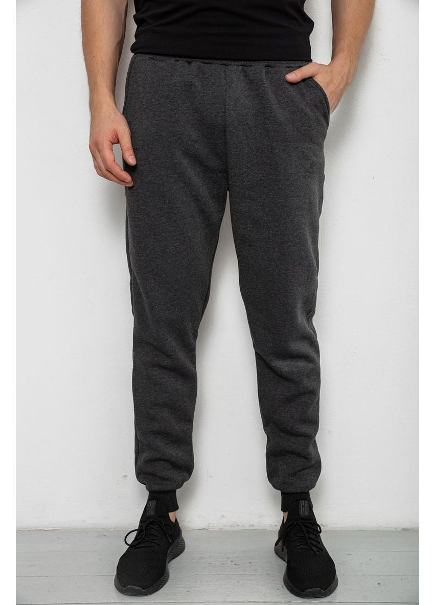 Спортивні чоловічі штани на флісі Ager 238R56848-1 (357234504)