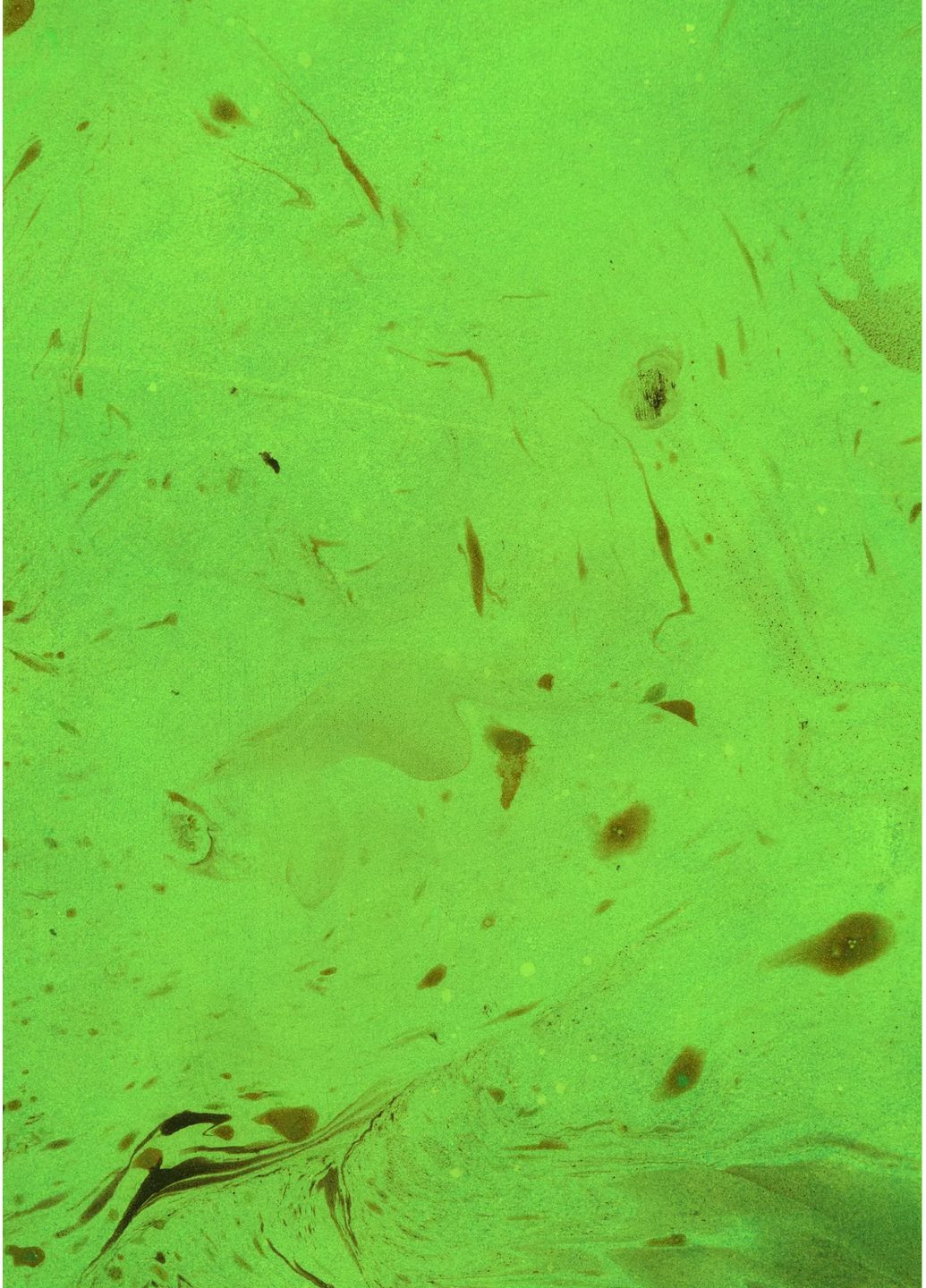 Зелене чаклунство. Як відкрити для себе магію квітів, трав, дерев, кристалів тощо Vivat (370065870)