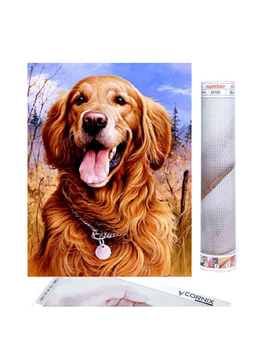 Набор алмазной мозаики (вышивки) Art 40 x 30 см Cornix AY27 (275334107)