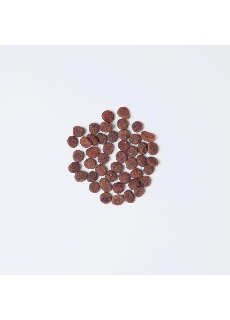 Сухой корм True Fresh Cat для взрослых кошек, с индейкой, 1,8 кг Carnilove (363196440)