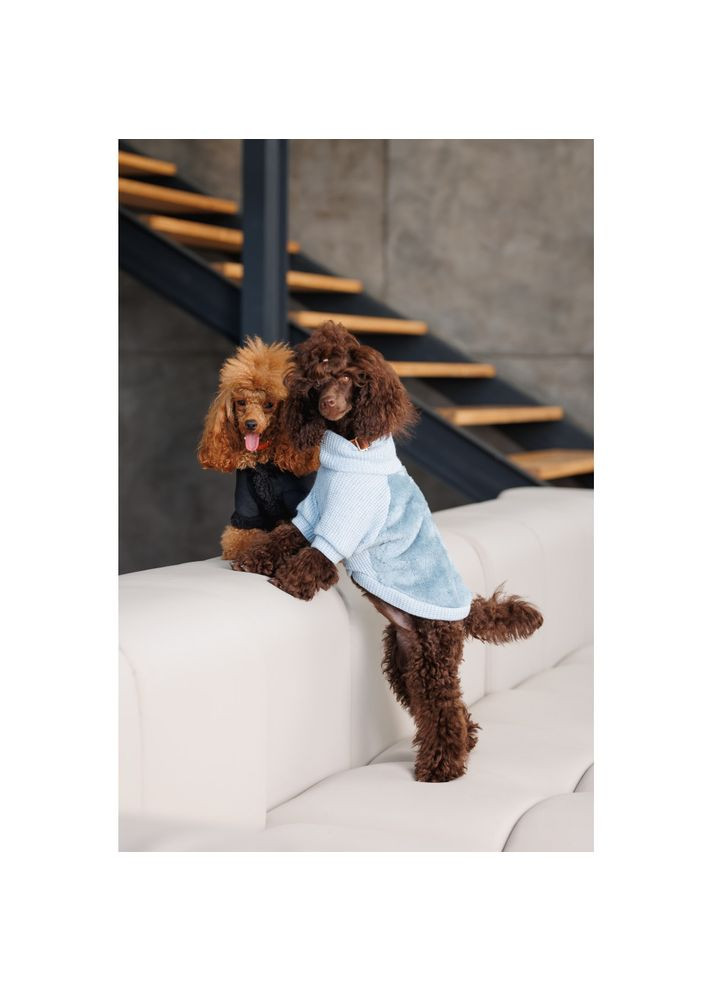 Свитер Fur Pet Fashion (371684780)