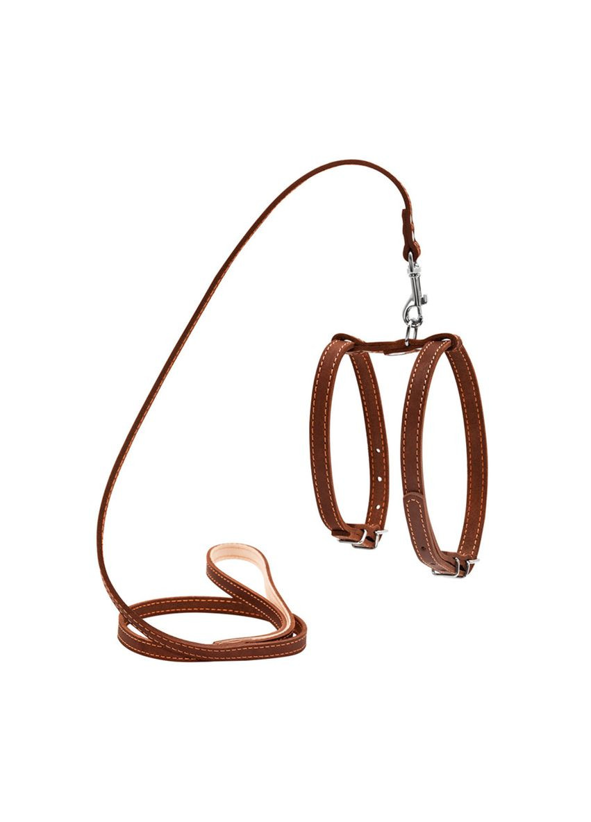 Шлей з повідцем для дрібних собак 14мм А:27-35смВ:35-45см/122см Коричневий Collar (319435418)