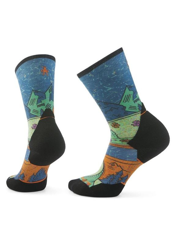 Шкарпетки жіночі Women's Trail Run Targeted Cushion Mountain Print Crew Різнокольоровий Smartwool (360647215)