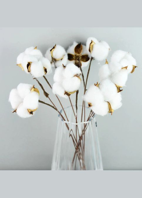 Коробочка хлопка натуральная, проволочный стебель, 6х27 см, белая No Brand (341730949)