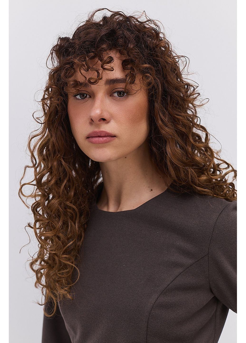 Темно-коричнева коротка зимова сукня з рельєфними швами Arjen