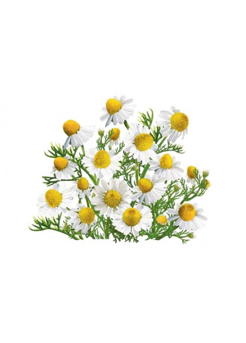 ромашка набор для выращивания растений Экокуб (295658330)