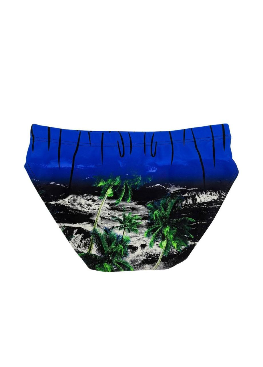 Плавки арт. 14-146, пальмы, 110-115 см, 5-6 лет KALINA STYLE (369402061)