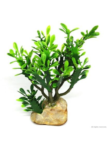 Искусственное растение кактус Euphorbia M 15x7x17см (36999) Hobby (322711556)