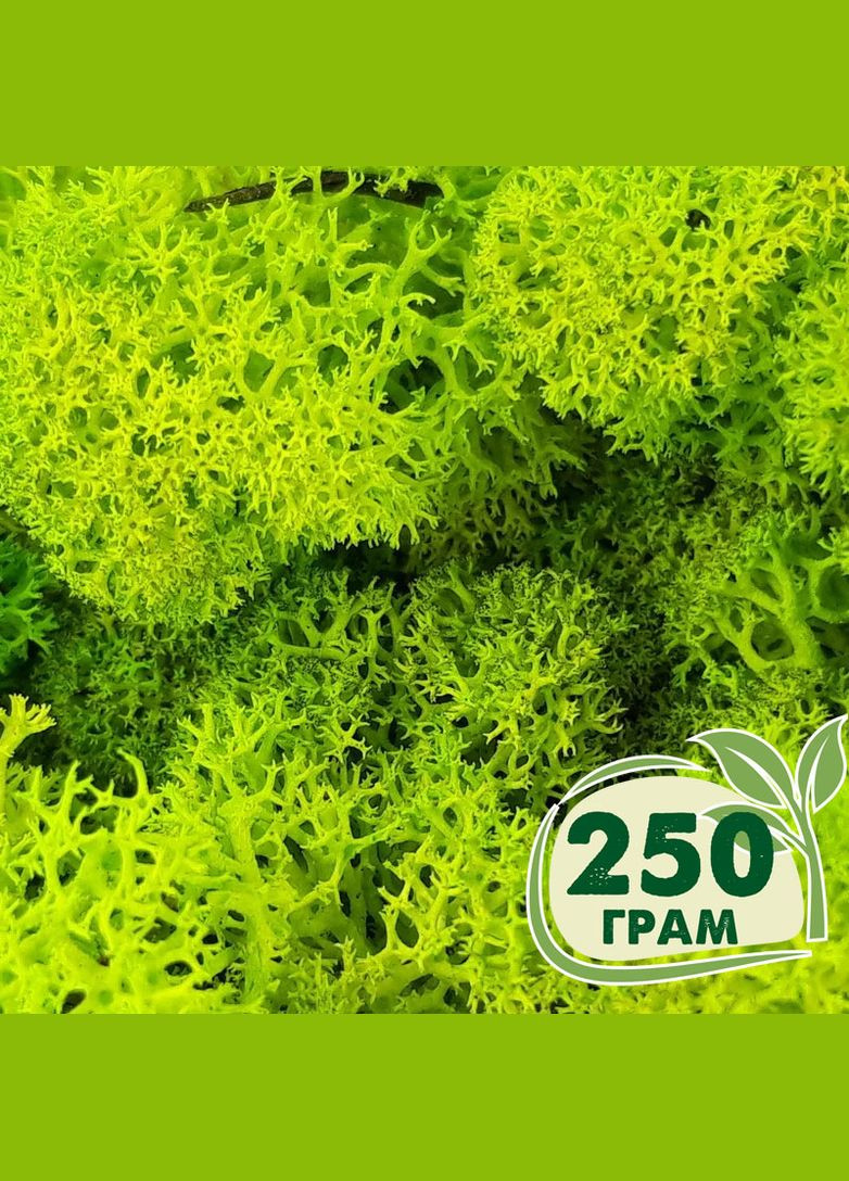 Стабілізований мох ягель Зелений весняний 250 грам Nordic moss (276401077)