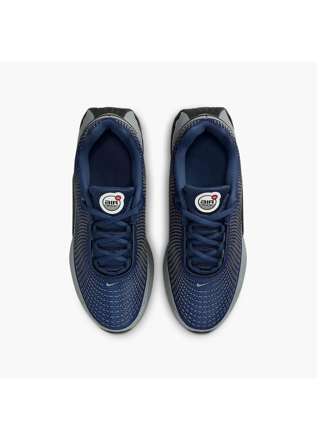 Кросівки жіночі Air Max Dn (Gs) Blue/Grey Nike сірі (364838423)