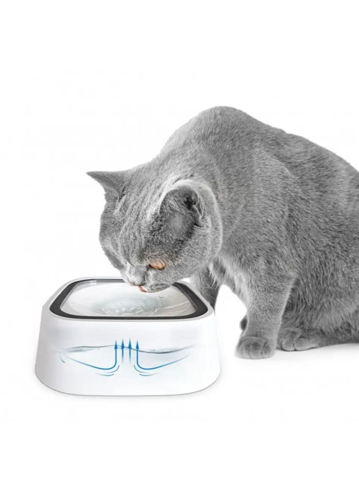 Пластикова миска для води із захистом від переповнення з водонепроникним ущільненням для котів та собак 1,5 л No Brand (340458552)