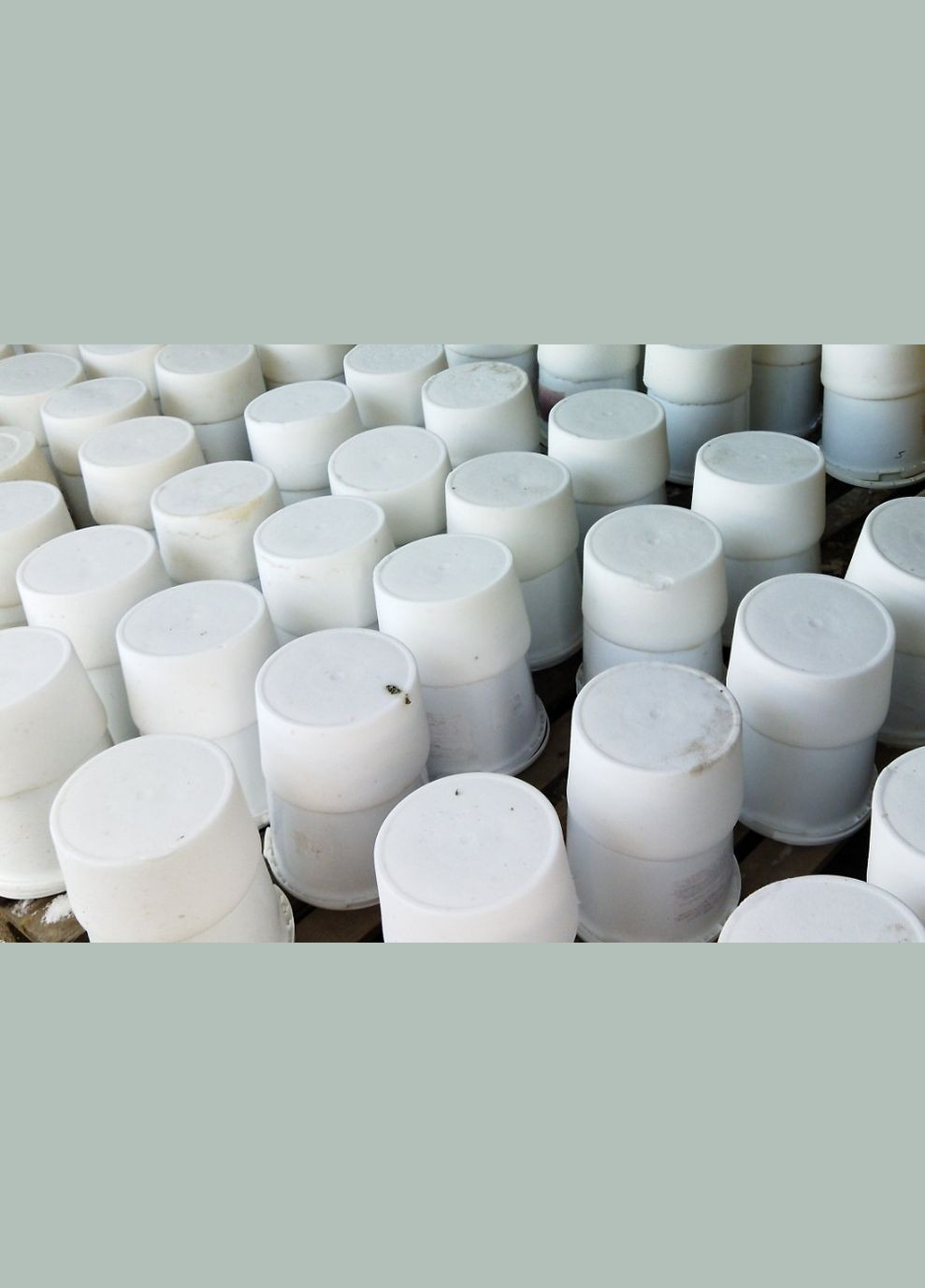 Сіль -Лізунець (корів, овець, кіз, баранів) 5кг No Brand (320950345)