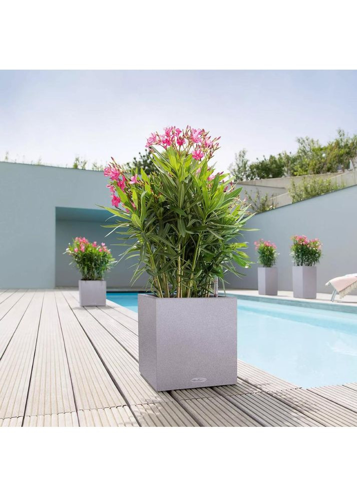 Кашпо CANTO Stone 30 Low Кварцовий білий (13707) Lechuza (329405622)