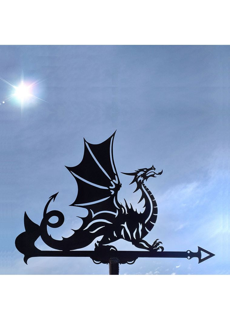 Флюгер на будинок Дракон, флюгер на дах з металу 2 мм. No Brand (368896470)