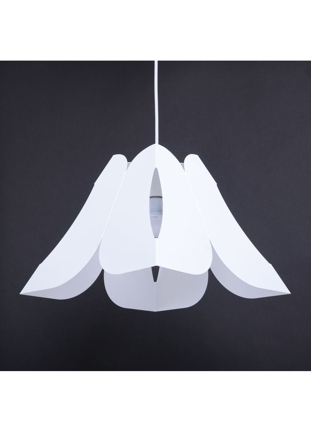 Люстра (світильник підвісний) Fleur P350 White Atmolight (370251484)