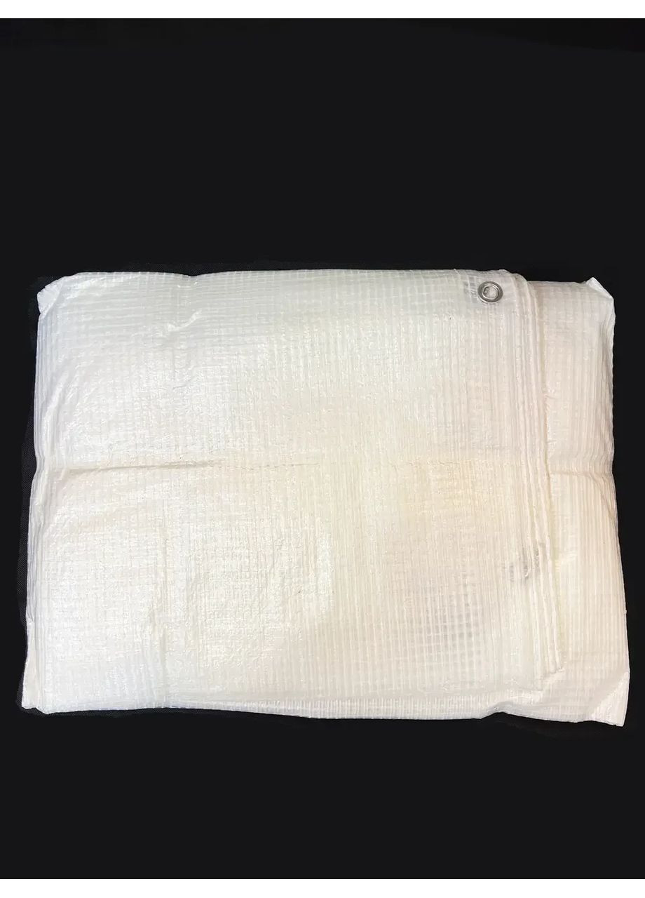 Тент прозорий 4х5м. Армований тент щільністю 130г/м2. Master Tool (372054027)