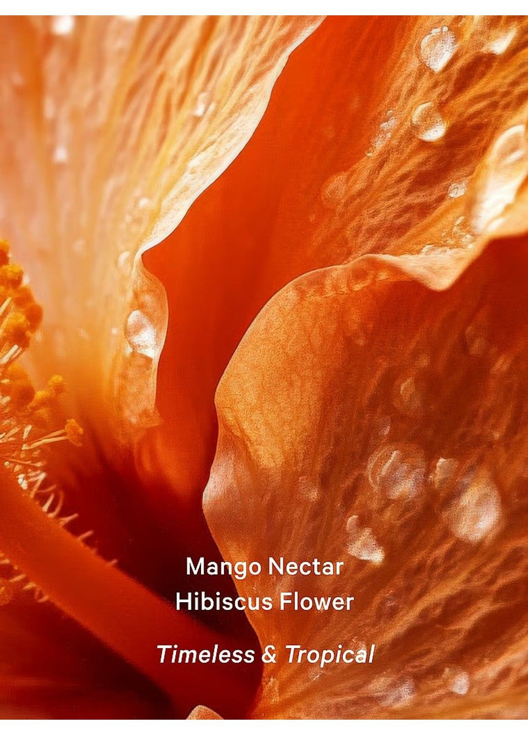 Спрей для тела Mango Temptation Fragrance Mist Victoria's Secret (355267044)