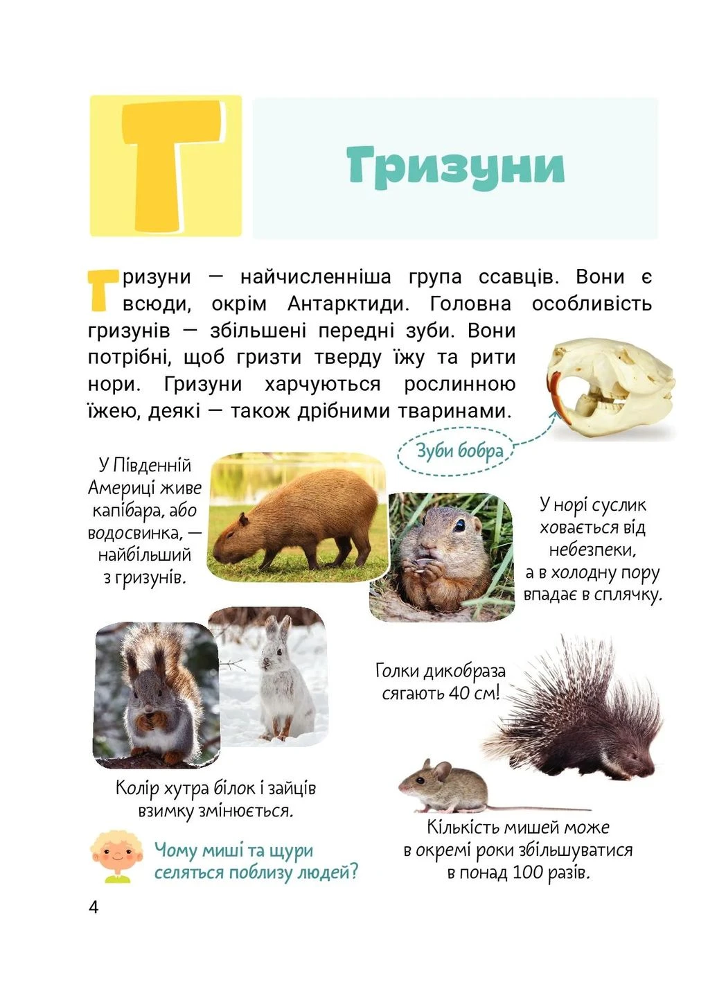 Класна абетка. Тварини Літера (370054626)