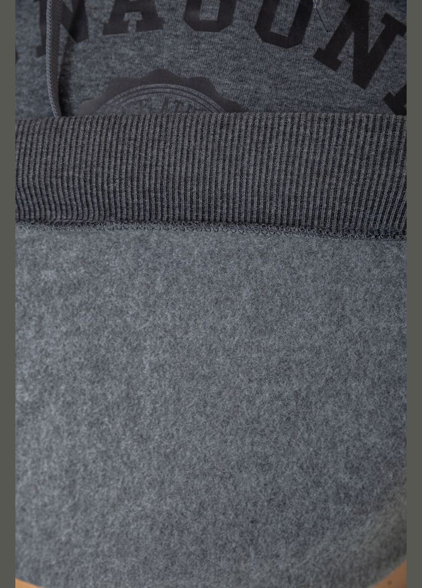 Худі чоловічий на флісі з капюшоном Sport Line (320226521)