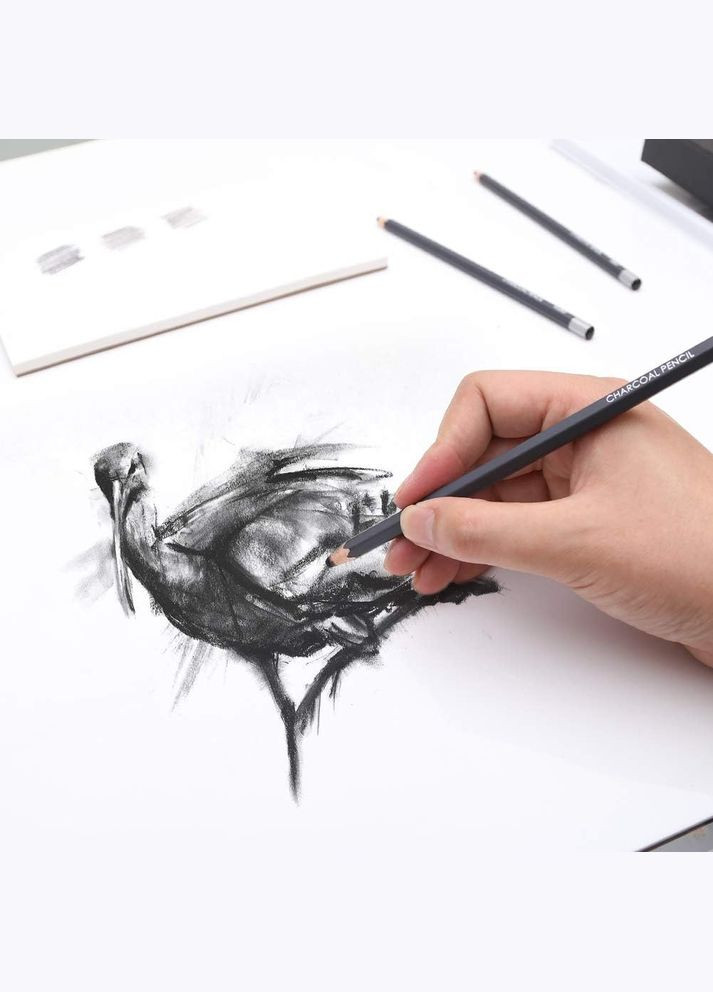 Набір вугільних олівців (12 штук різної твердості) Worison (336190629)