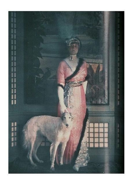 Книга The Dog in Photography 1839-Today (9783836567473) Taschen (364656393)