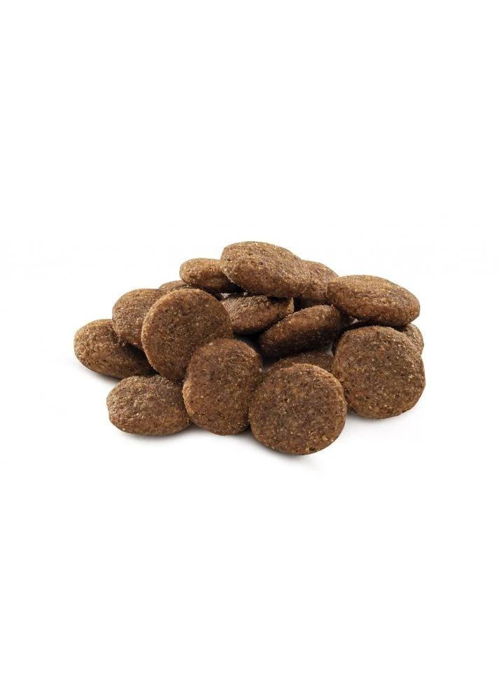 Корм сухий Dog Adult L для дорослих собак великих порід вагою 25-45 кг з куркою 8 кг Brit Premium (362703080)