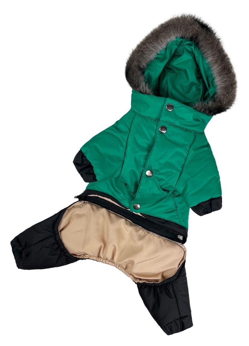 Комбинезон зимний для собак, зеленый, размер 5 Dogs Bomba (335841336)