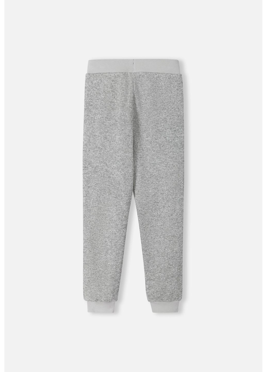 Штани флісові Reima Sangis (356006538)