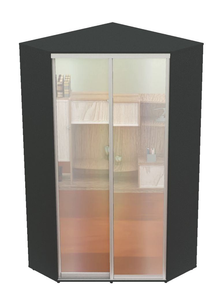 Шкаф-купе двухдверный угловой 130*130*250 см Антрацит 2 двери Зеркало Угол-3 Алекса (360456374)