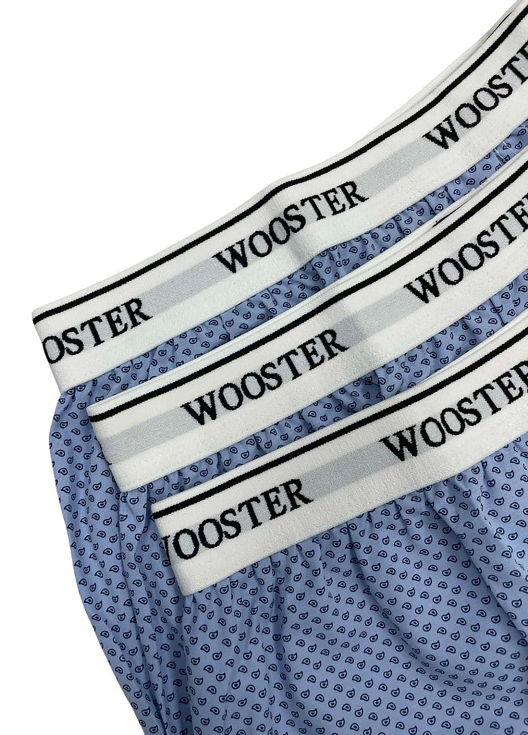 Комплект трусов Wooster (322081843)