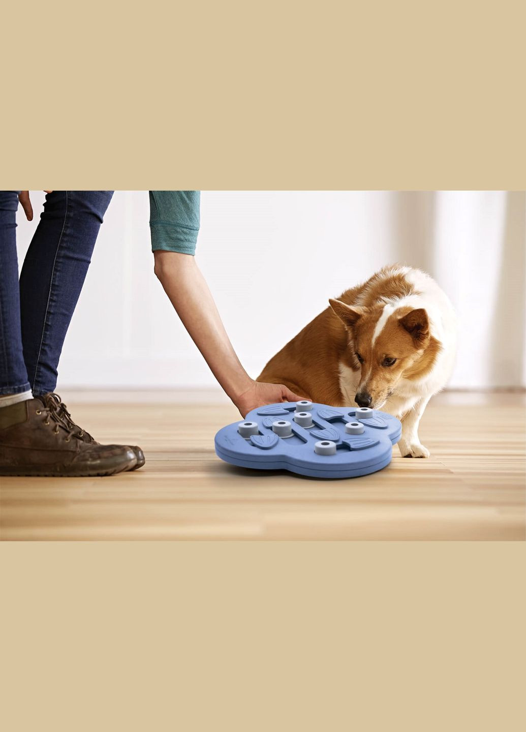 Іграшка інтерактивна для собак Dog Схованка (no69540) Nina Ottosson (315492606)