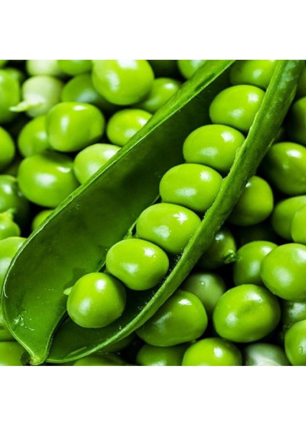 Семена гороха Преладо Syngenta (333339624)