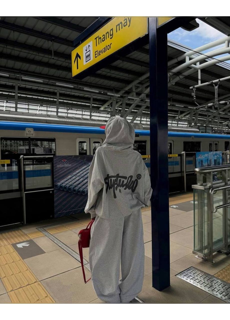 Женский спортивный костюм на флисе Avanti (364863878)