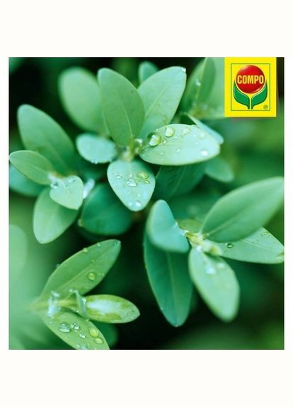 Торфосуміш універсальна Sana 40 л 1150 Compo (316623154)