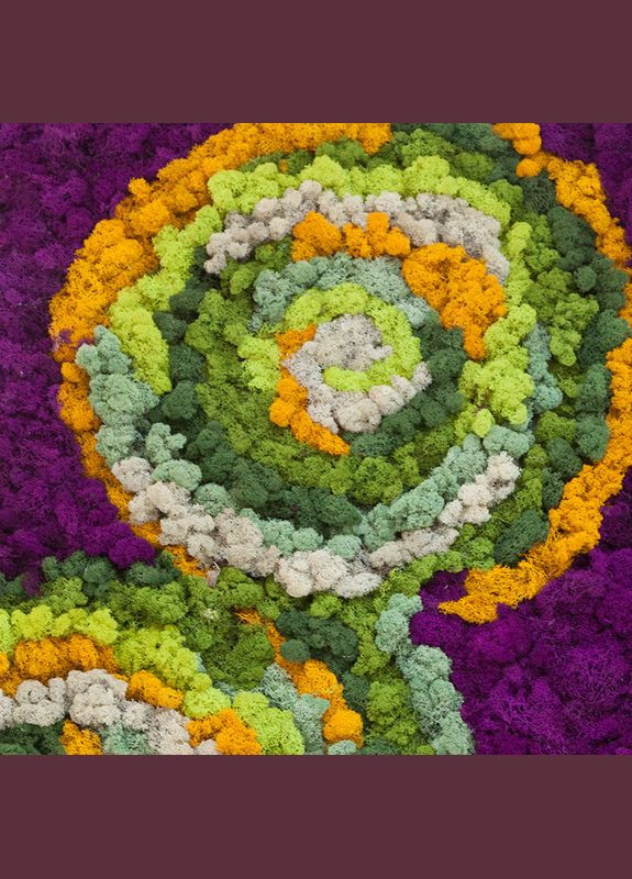 Стабілізований мох ягель Еріка 100 грам Nordic moss (276401072)