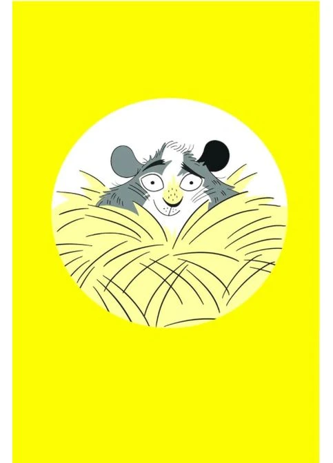 Wigglesbottom Primary. The Guinea Pig Rescue Nosy Crow (393737139)