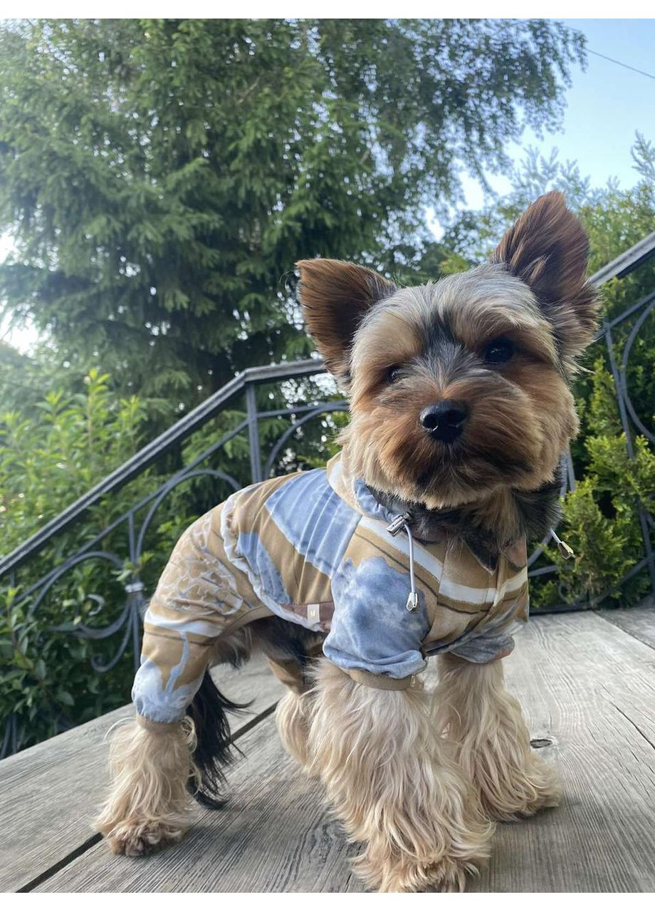 DOG STYLE - Літні комбінезони для собак No Brand (358652248)