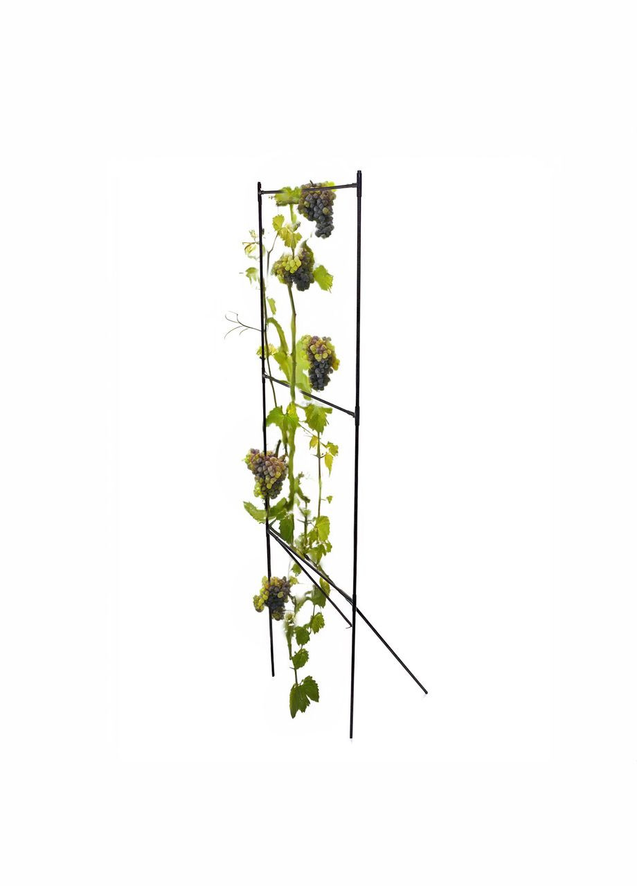 Висока шпалера для винограду Grappa металева розбірна одноплощинна H=2,83 м Metaplant (346531039)