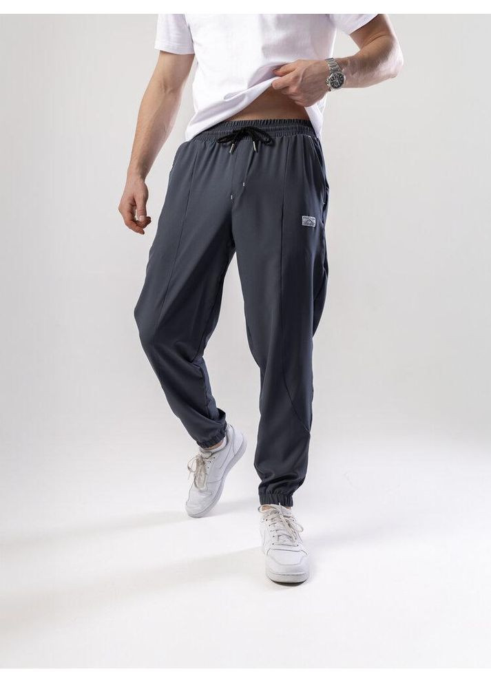 Серые повседневный демисезонные брюки Freedom